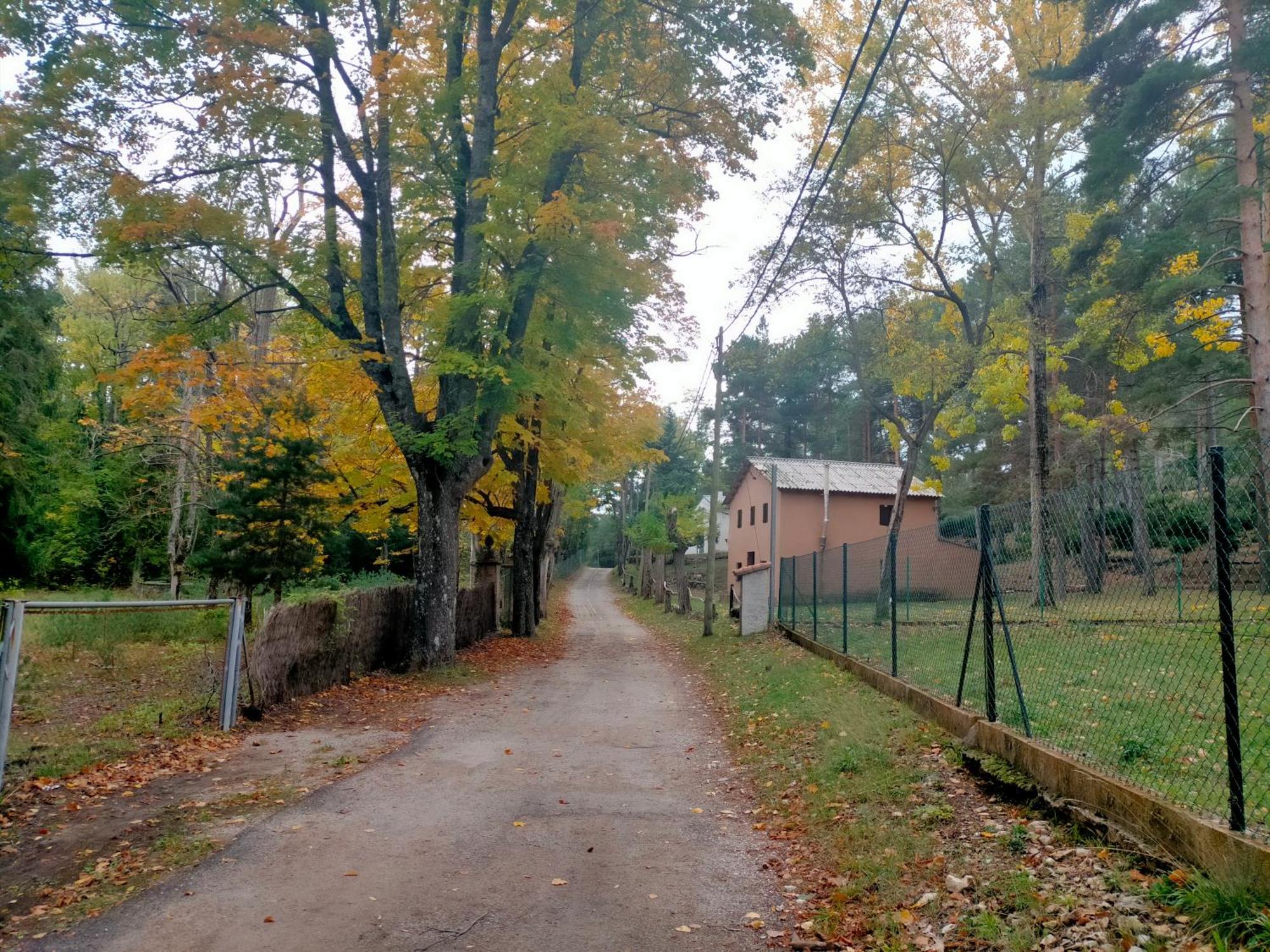 Casa Rural Tia Salome San Jorge  Dış mekan fotoğraf