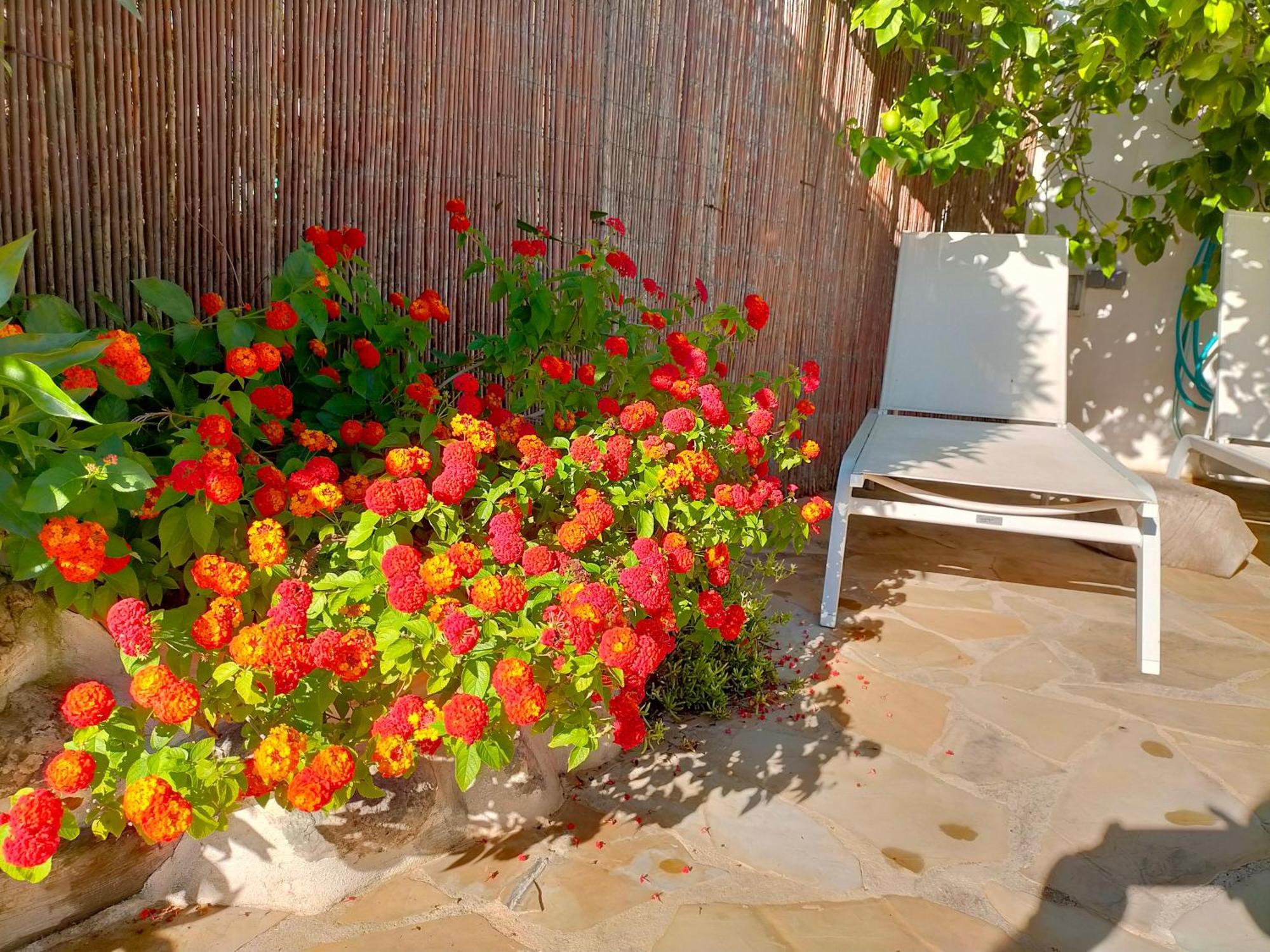 Casa Rural Tia Salome San Jorge  Dış mekan fotoğraf